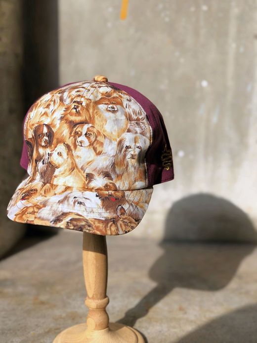 ALDIES Rage Cap / dog