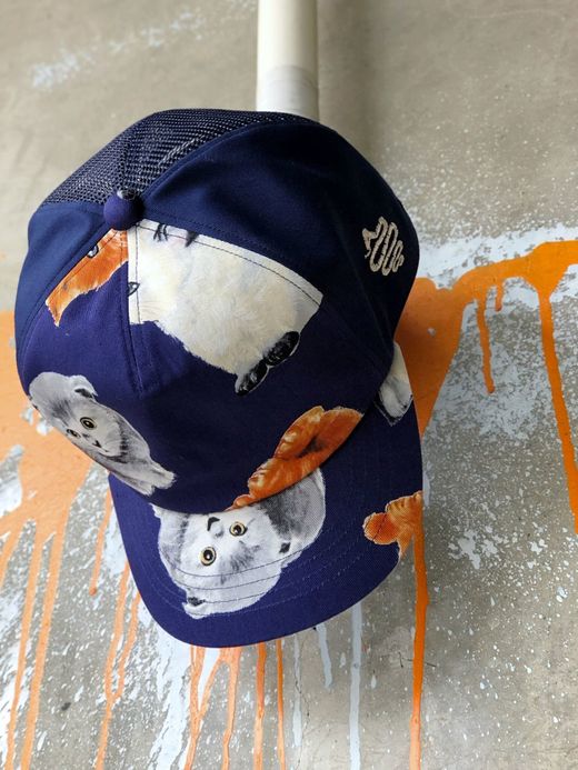 ALDIES A7020119 / MIX CAP / CAT