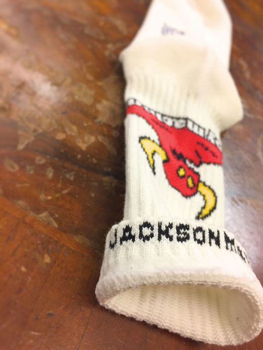  Toy Machine Monster Logo Socks / white