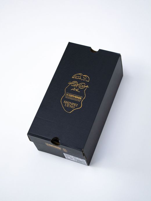 CONVERSE SKATEBOARDING 34200592 / BREAKSTAR SK SHINPEI UENO OX + / OFF WHITE