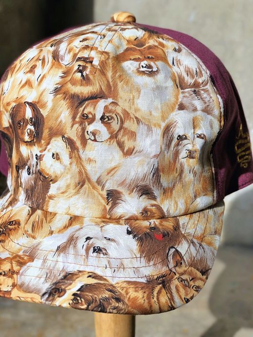 ALDIES Rage Cap / dog