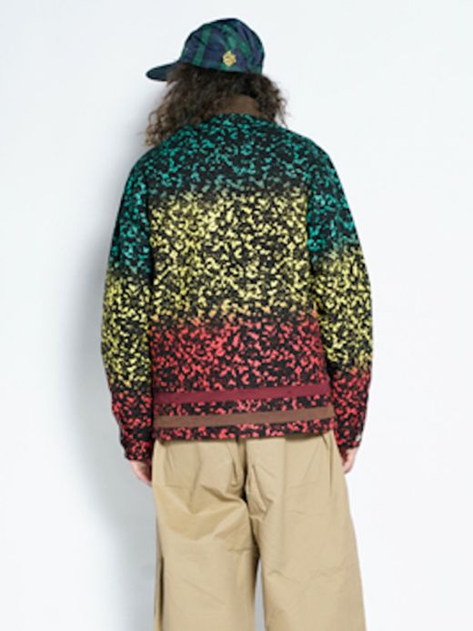 ALDIES A3007629 / DAYDRUMS COACH JACKET / RASTER