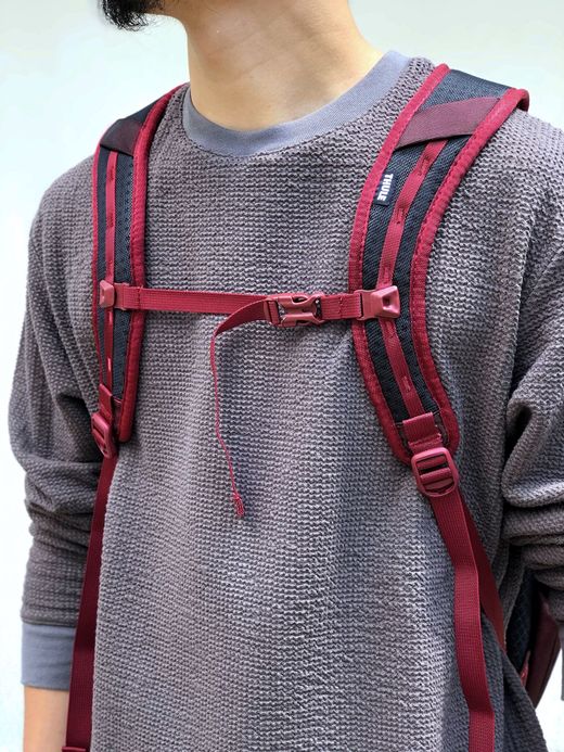  TSLB-317 / THULE SUBTERRA BACKPACK 30L / EMBER