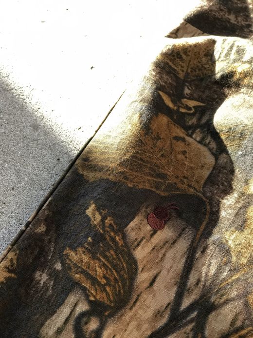 VOO VOO-976 / CAMOU EZ SLACKS / REAL TREE