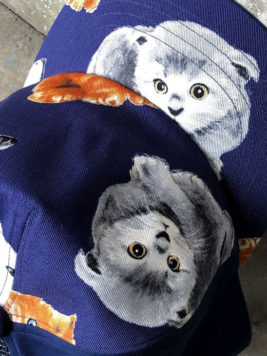 ALDIES A7020119 / MIX CAP / CAT