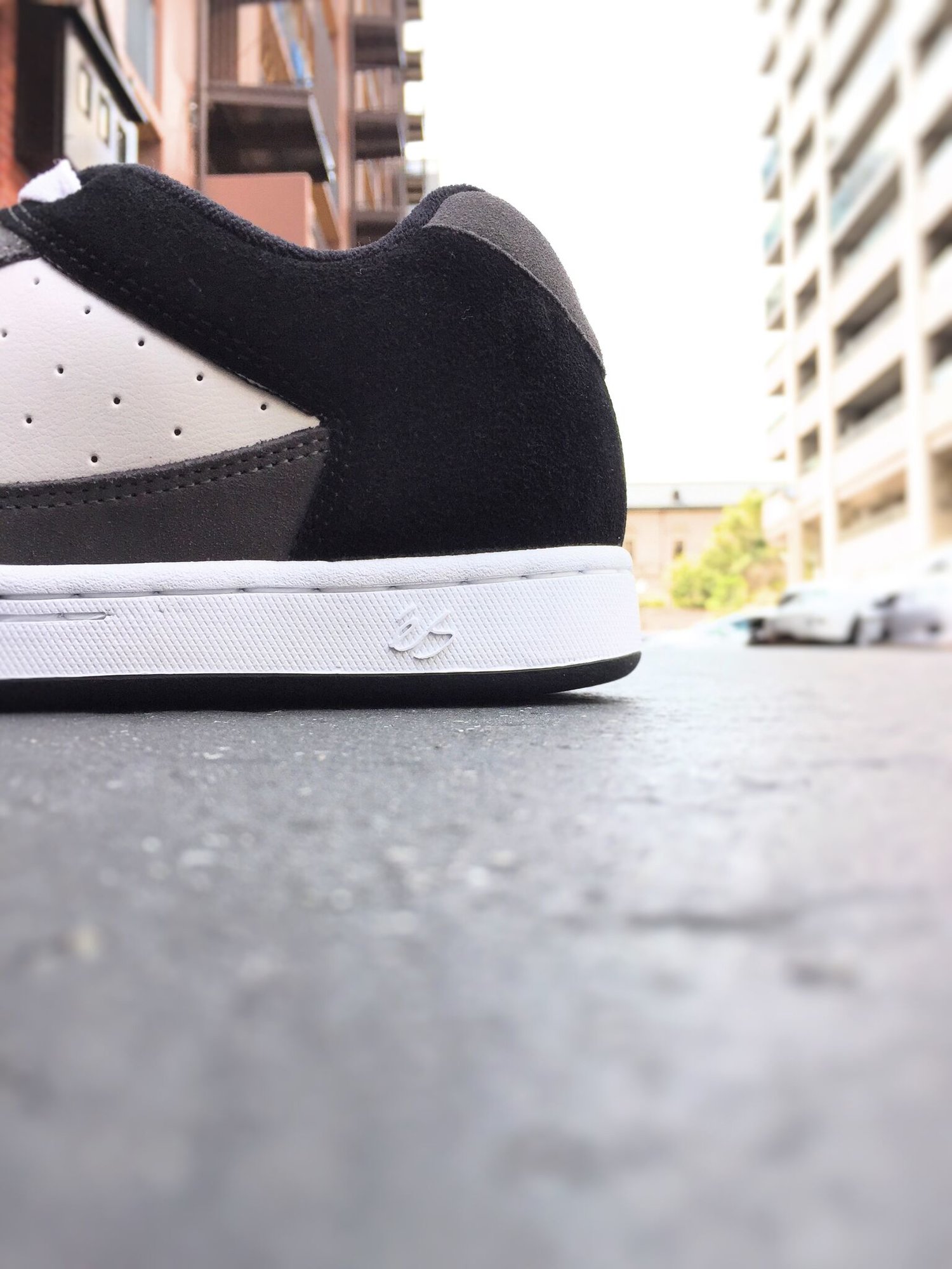 es Accel OG / black/grey/white | FLATBUSH（フラットブッシュ