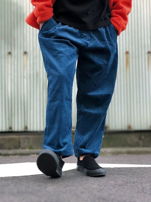 ALDIES A2017328 / THICK RIDGES PT / NAVY