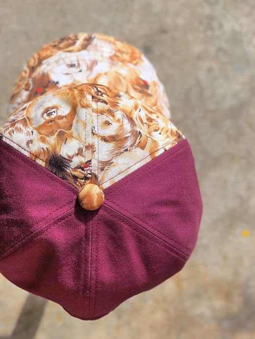 ALDIES Rage Cap / dog