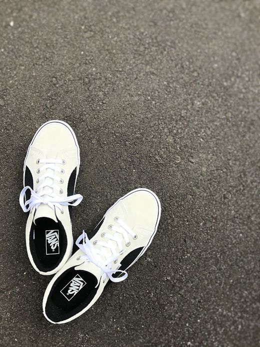 Vans Lampin(2-Tone Suede) / true white/black