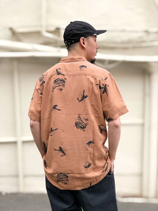 GLOBE GB01824010 / HARD TIMES SS SHIRT / SIERRA