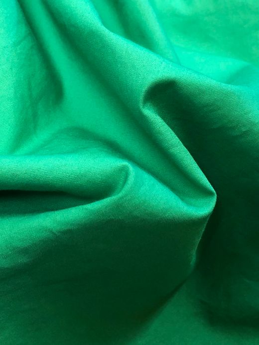 NECESSARY or UNNECESSARY Pool Side Ⅱ / green