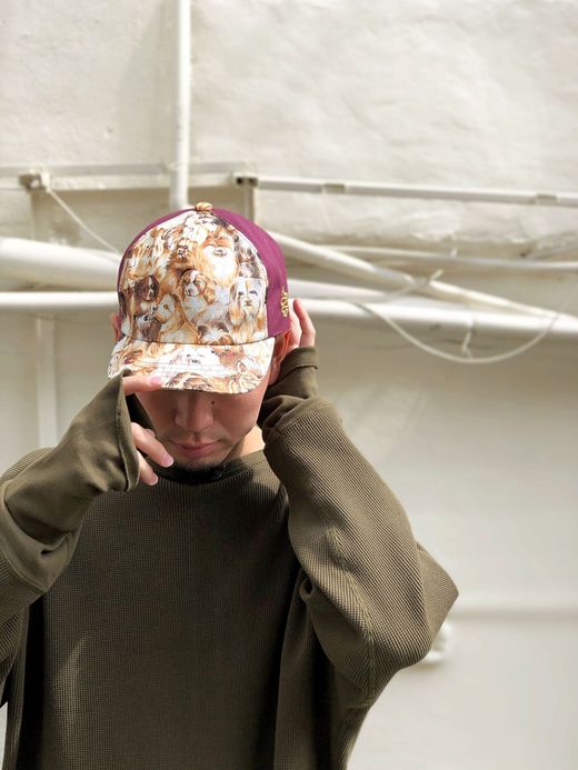 ALDIES Rage Cap / dog