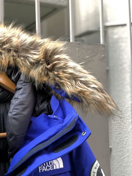 THE NORTH FACE ND91807 / ANTARCTICA PARKA / イノギュレーションブルー