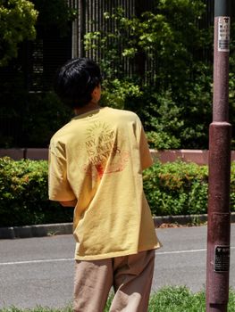 【[object Object]
              02oIprpcbMwM】