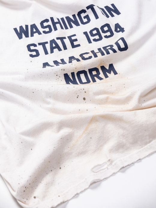ANACHRONORM WASHINGTON DAMAGED PRINT T-S / Navy print