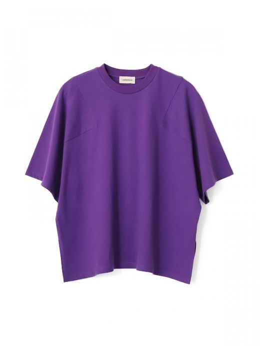 AMBERGLEAM PANEL BASIC T-SHIRT / 3 "new" colors