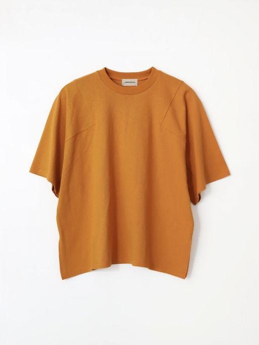 AMBERGLEAM PANEL BASIC T-SHIRT / 3 "new" colors