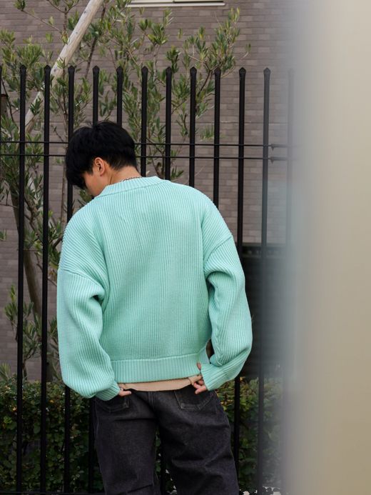 AMBERGLEAM WARM HENRY SWEATER / Dolphin