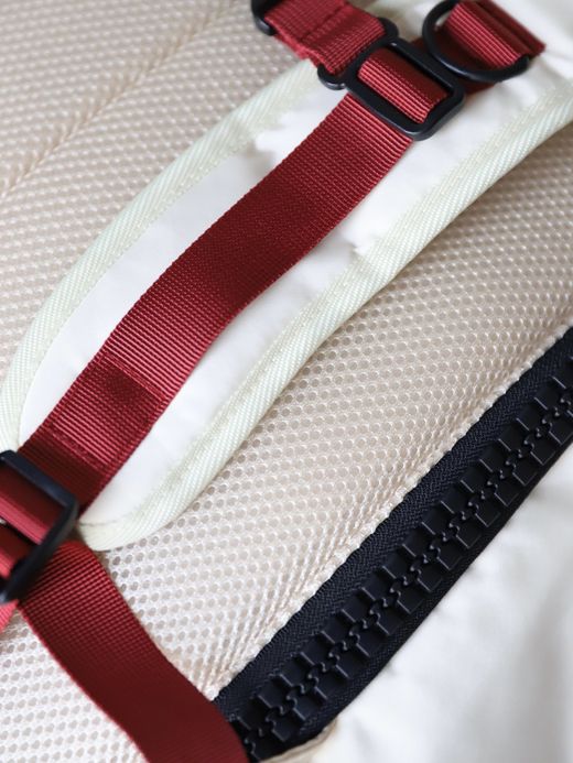 AMBERGLEAM TRAVELER'S BACKPACK / 3colors