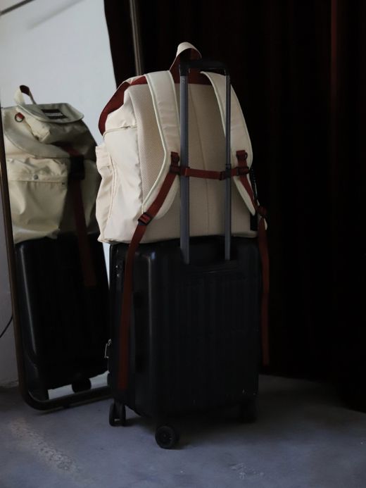 AMBERGLEAM TRAVELER'S BACKPACK / 3colors