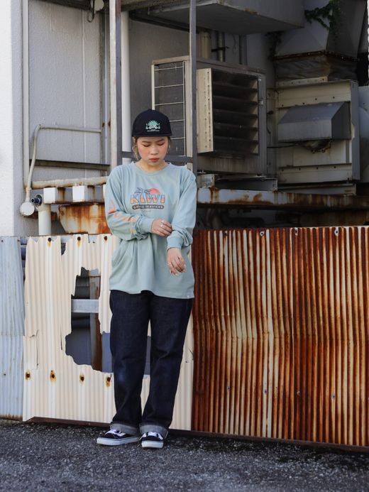 ROARK REVIVAL "NZ TOURIST" L/S TEE / Slate blue