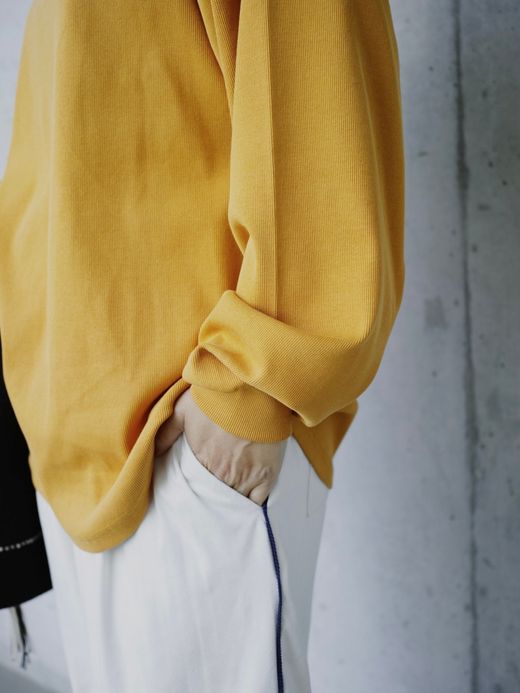 AMBERGLEAM RIB CUT LONG SLEEVE / Black