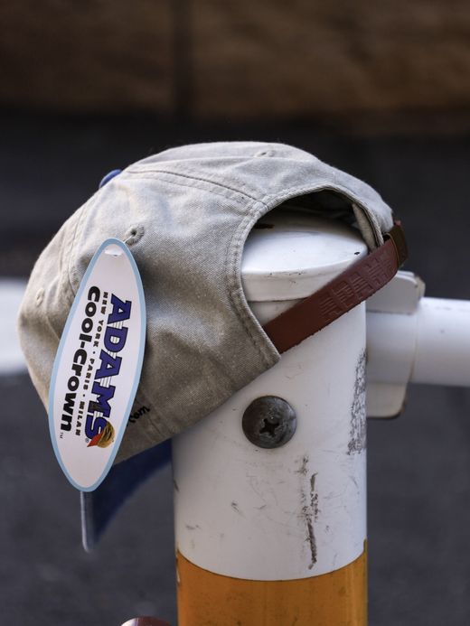 RAY TROLL SMOKE SALMON PIGMENT 6PANEL CAP / Stn/royal