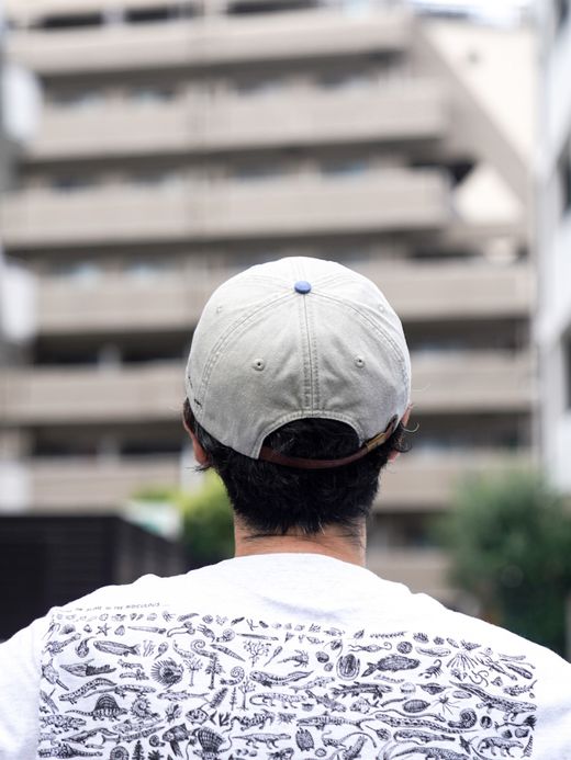 RAY TROLL SMOKE SALMON PIGMENT 6PANEL CAP / Stn/royal