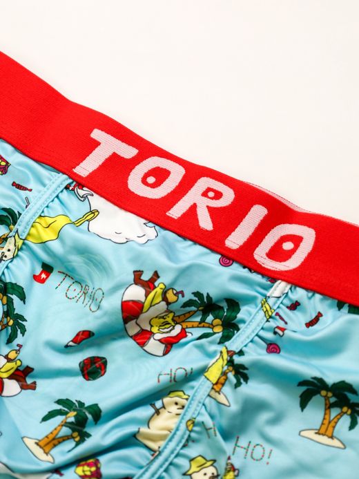 TORIO サマーサンタ