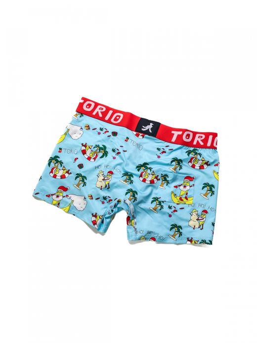 TORIO サマーサンタ