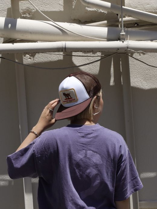 THE UNION BLUEDOG TRUCKER CAP / Brown