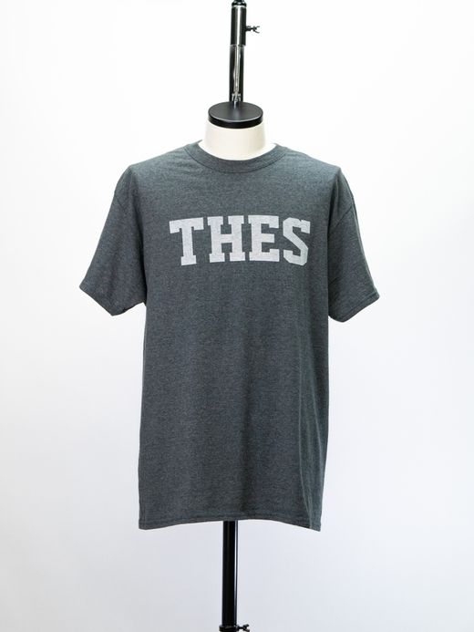 THE UNION "THES" USED TEE / Gray