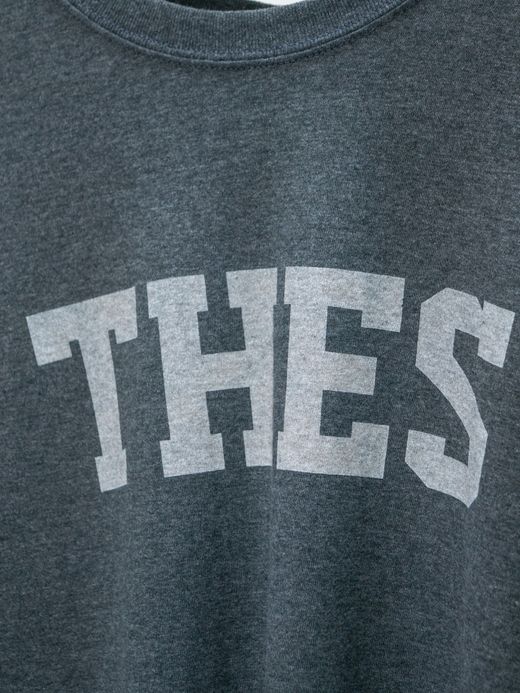 THE UNION "THES" USED TEE / Gray