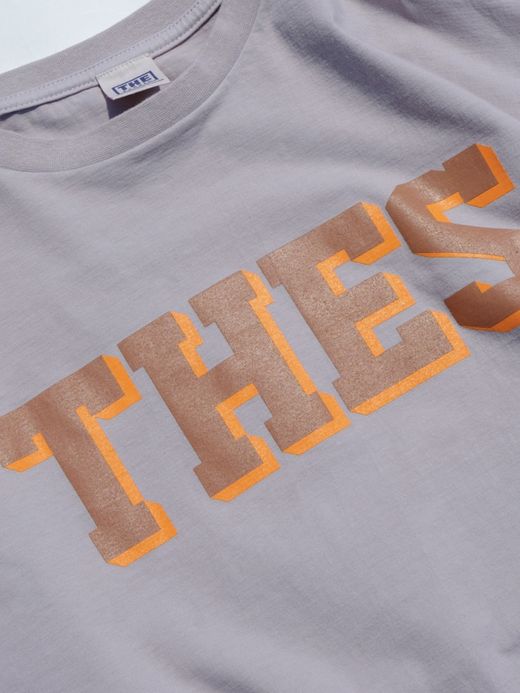 THE UNION THES TEE 2024 / Gray