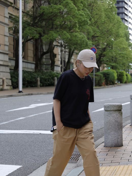 GLOBE DREAMIN' WILD SS TEE / Black