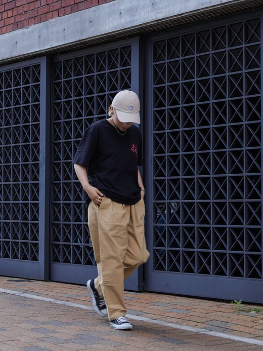 GLOBE DREAMIN' WILD SS TEE / Black