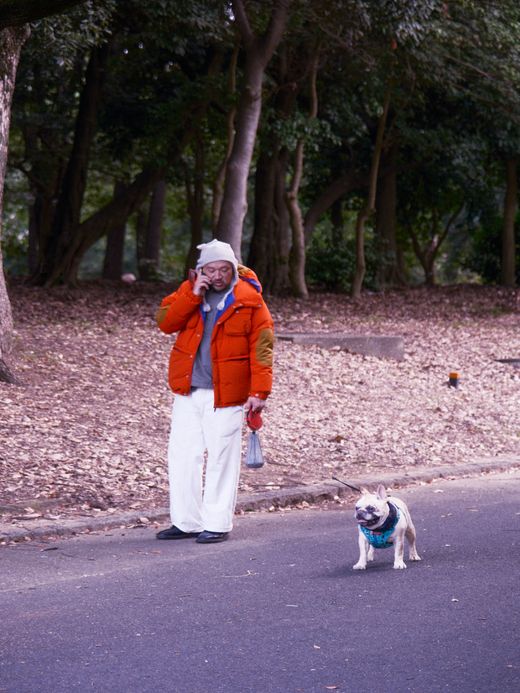 THE UNION MOUNTAIN DOWN PARKA / Orange