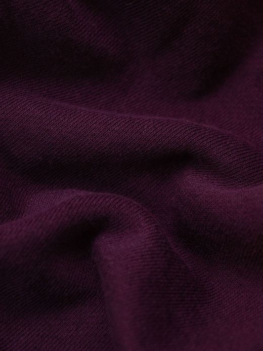 THE UNION TIGER FULL ZIP SWEAT HOODIE / Burgundy
