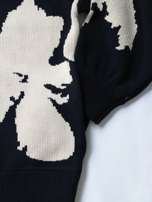 AMBERGLEAM BICOLOR HALF ZIP SWEATER / 2colors