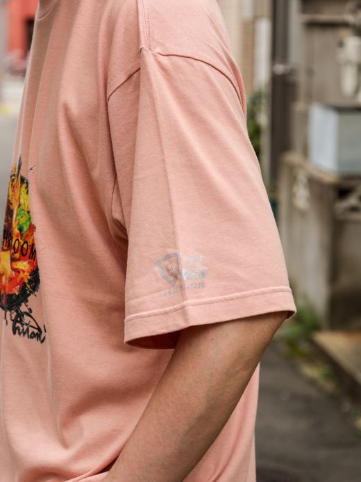 ANACHRONORM ANACHROVOOM CURRY T-S / Salmon