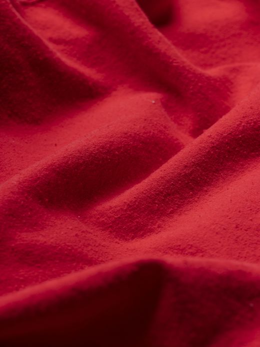 ANACHRONORM EMBROIDED 50/50 HOODED PARKER / Red