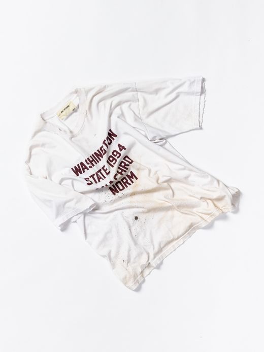 ANACHRONORM WASHINGTON DAMAGED PRINT T-S / Burgundy print