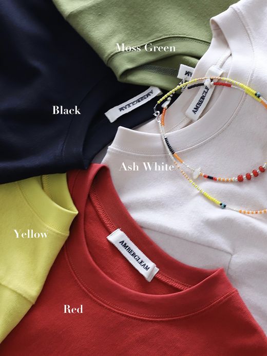 AMBERGLEAM PANEL BASIC T-SHIRT(2023SS) / 5colors
