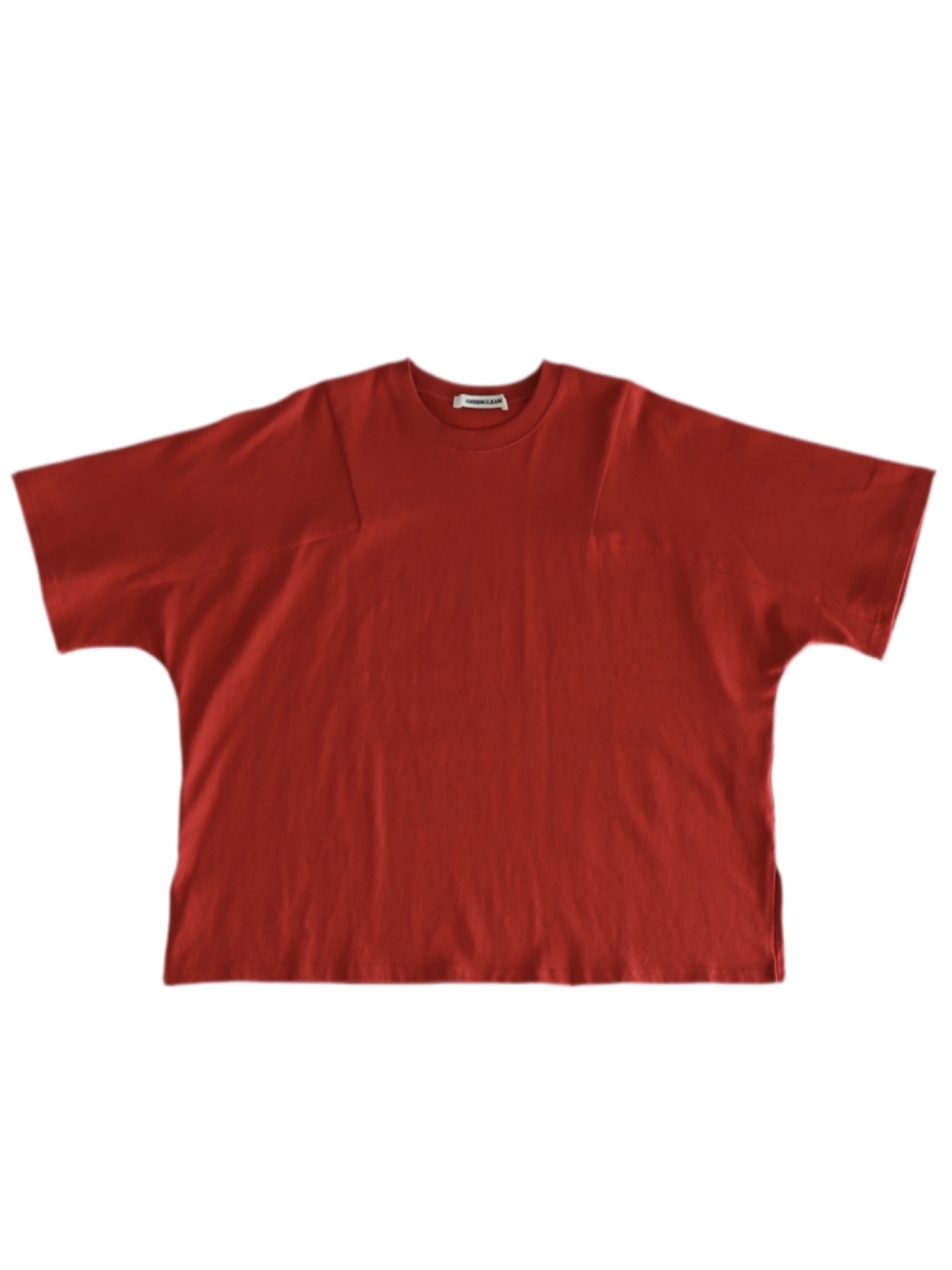 AMBERGLEAM PANEL BASIC T-SHIRT(2023SS) / 5colors | FLATBUSH