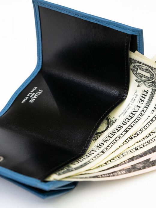 ITUAIS COMPACT WALLET / Dregee/light blue