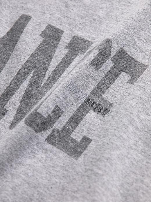 ANACHRONORM BALANCE PRINT DAMAGE S/S T-S / Gray