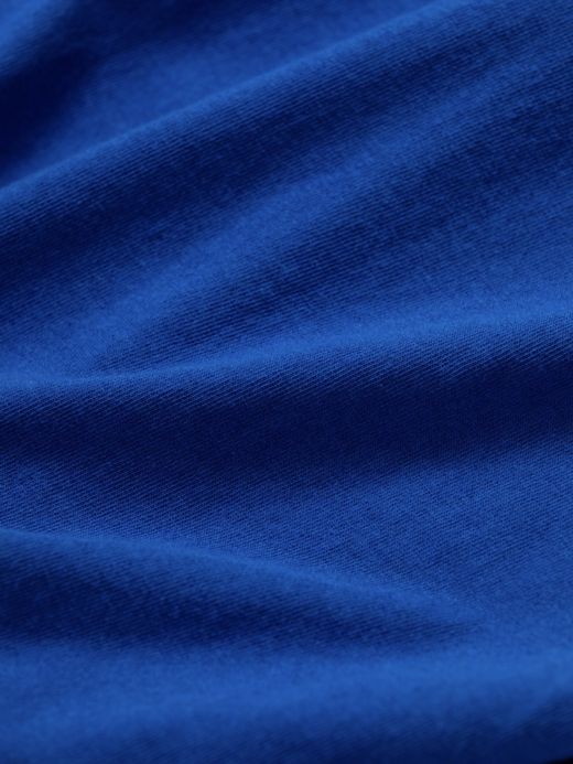 ANACHRONORM ALTN PRINT T-S / Blue