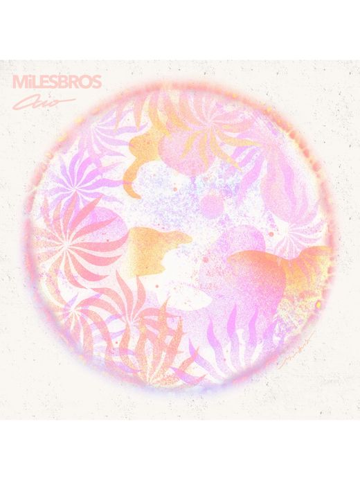 MiLESBROS aio-Home